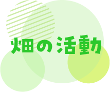 畑の活動