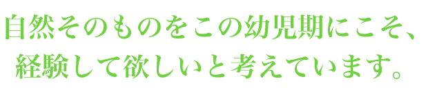 市税そのものをこの幼児期にこそ、経験してほしいと考えています。